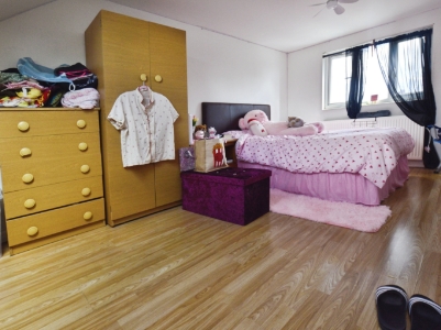 Picture 13
